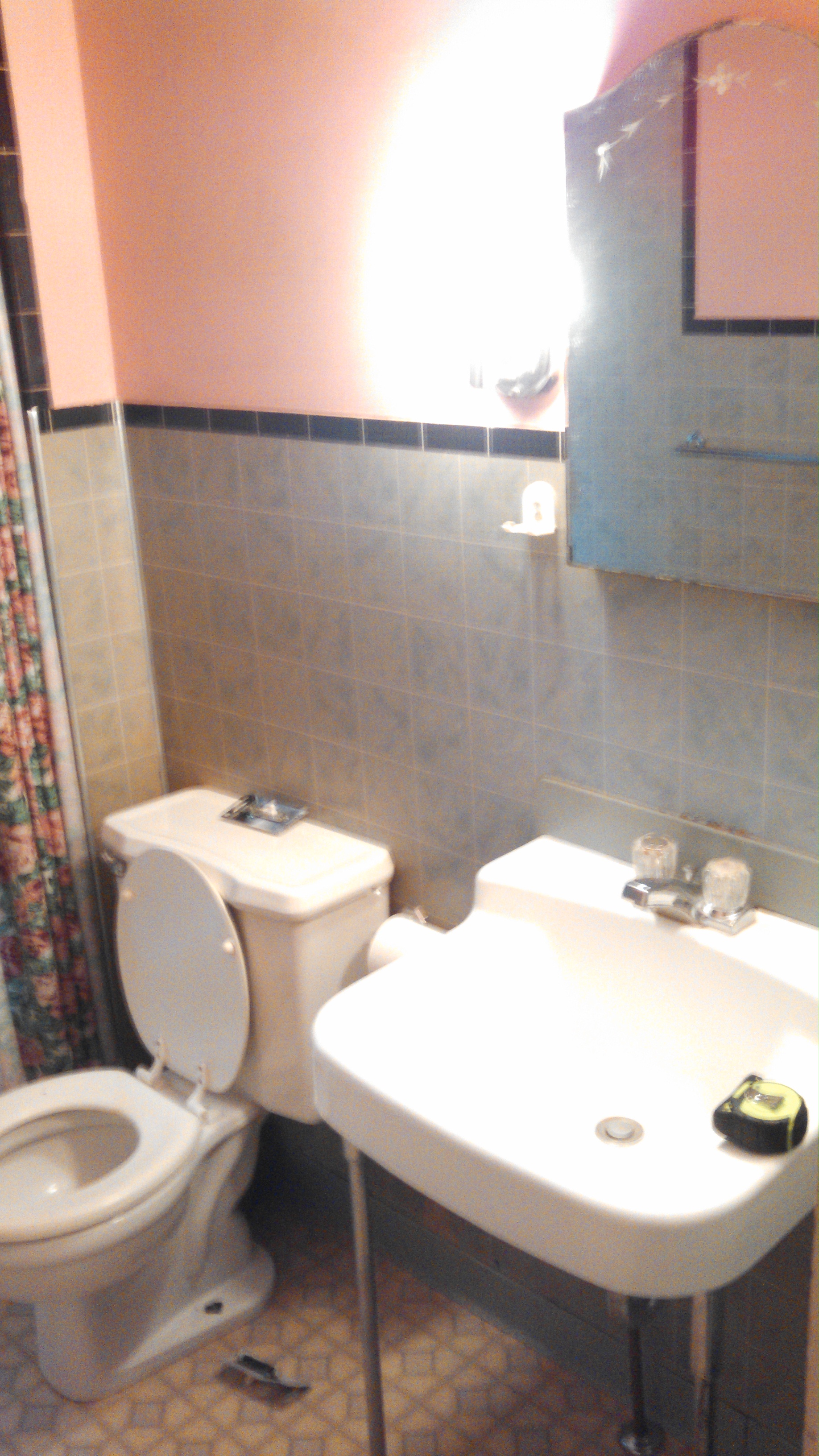 Bathroom Before